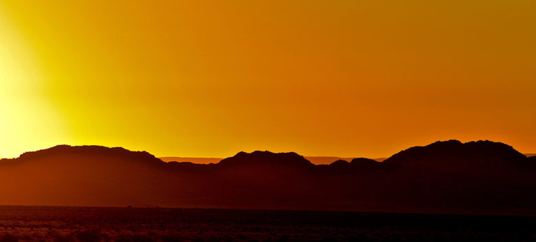 Namibia Safari