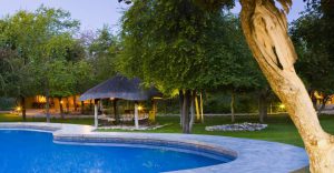 Mushara Lodge swimming pool and thatched chalets