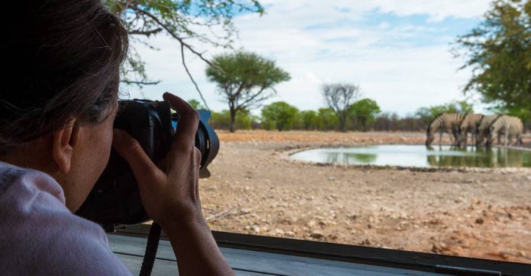 Photography hide view at Anderssons Camp