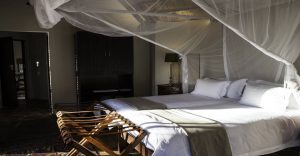 Onguma Forest Camp – Bush Suite bedroom with mosquito net
