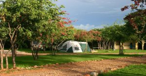 Tent on a grassy stand at Etosha Safari Campsite