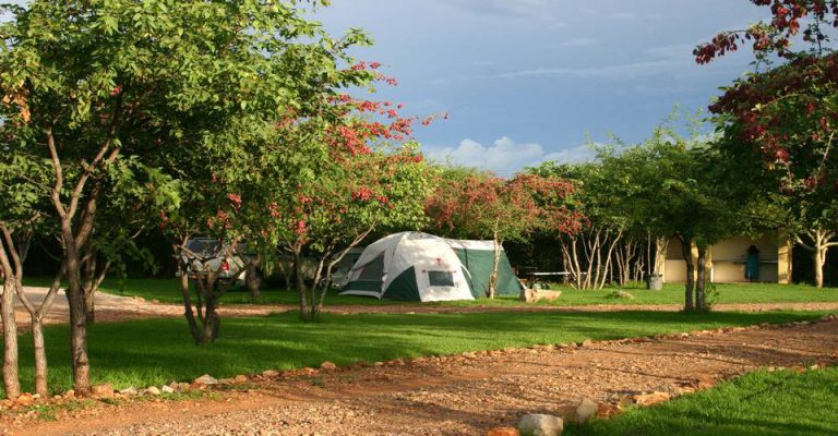 Tent on a grassy stand at Etosha Safari Campsite
