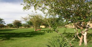 Shaded lawn between chalets at Etosha Safari Camp