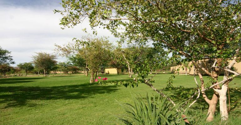 Shaded lawn between chalets at Etosha Safari Camp