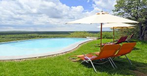 Swimming pool and loungers at Etosha Safari Lodge