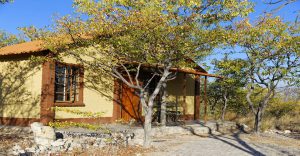 Chalet exterior among mopane trees at Etosha Safari Camp