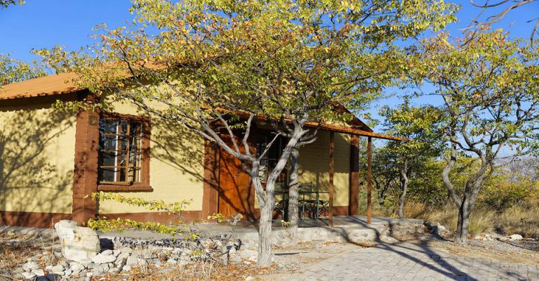 Chalet exterior among mopane trees at Etosha Safari Camp