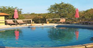 Swimming pool at Etosha Safari Camp