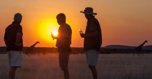 Sundowner drinks during an Ongava Lodge safari