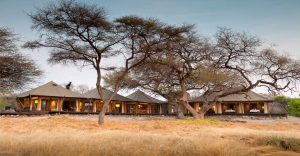 Onguma Tented Camp – luxury tents spaced through the bushveld