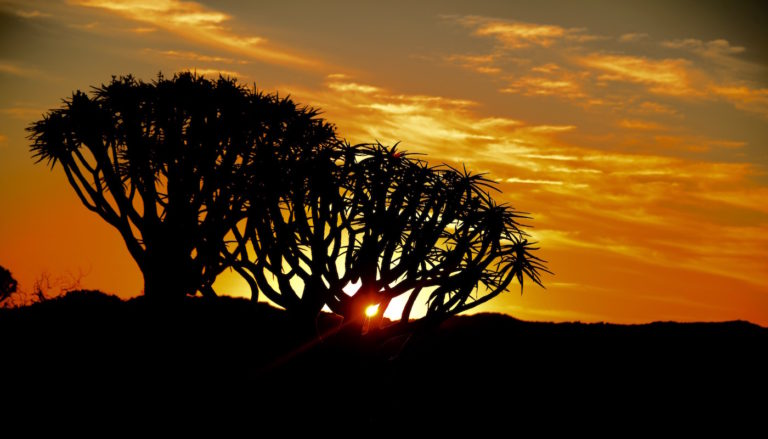 Ultimate Namibia self drive safari
