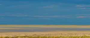 Etosha Photographic safaris