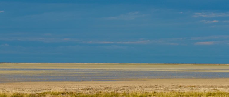 Etosha Photographic safaris