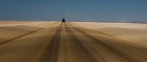 Northern Namibia Safari