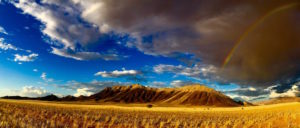 Northern Namibia Safari