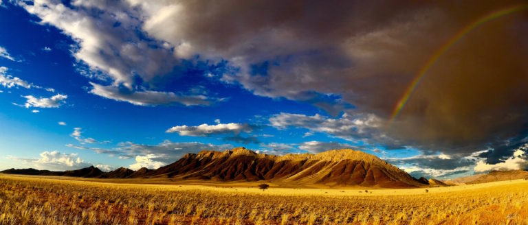 Northern Namibia Safari