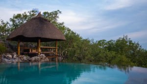 Infinity pool and shaded deck at Little Ongava