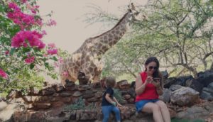 Okutala Etosha Lodge – guest watching a giraffe near the garden