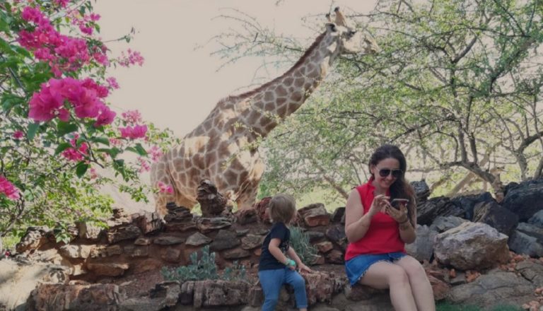 Okutala Etosha Lodge – guest watching a giraffe near the garden