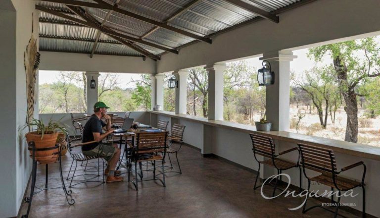 Covered restaurant terrace at Onguma Campsites