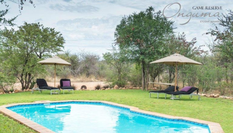 Swimming pool for camping near eastern Etosha at Onguma
