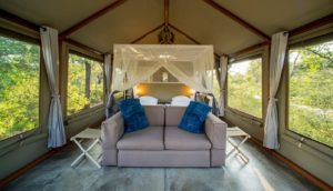 Double tent interior at Mushara Bush Camp