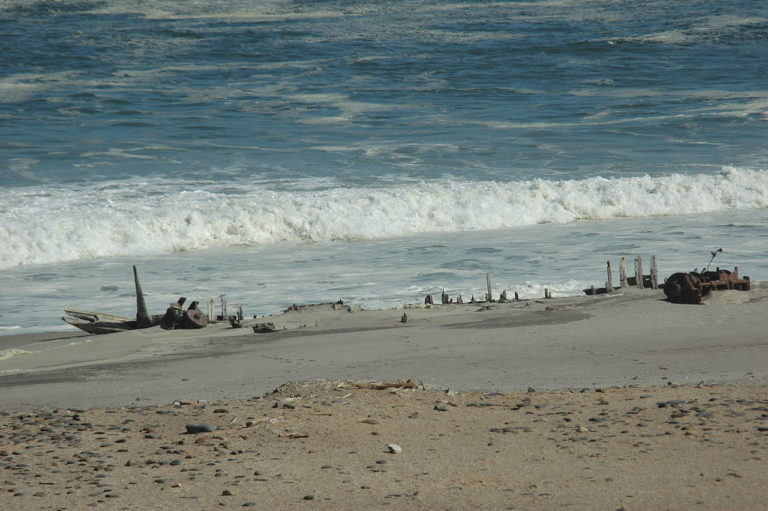 Skeleton Coast accommodation – seals resting beside Atlantic waves