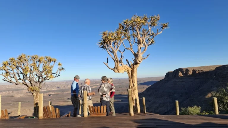 Guests beside quiver trees at a Fish River Canyon viewpoint