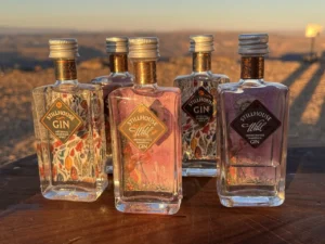 Bottles arranged on a ledge overlooking Fish River Canyon