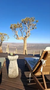 Outdoor sculpture and quiver tree at Fish River Lodge