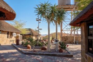 Kronenhof Lodge – landscaped courtyard with quiver trees
