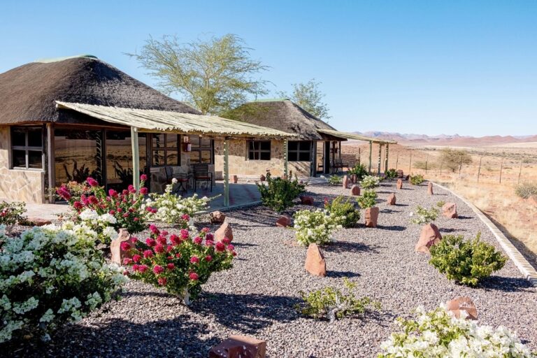 C27 lodge Namibia – flower garden beside the lodge rooms