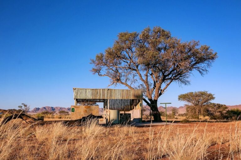 C27 lodge Namibia – secluded campsite beneath an acacia tree