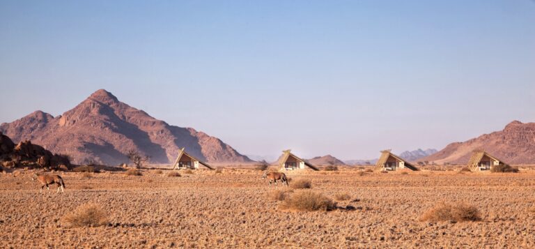 Sossusvlei camp – oryx roaming between camp units