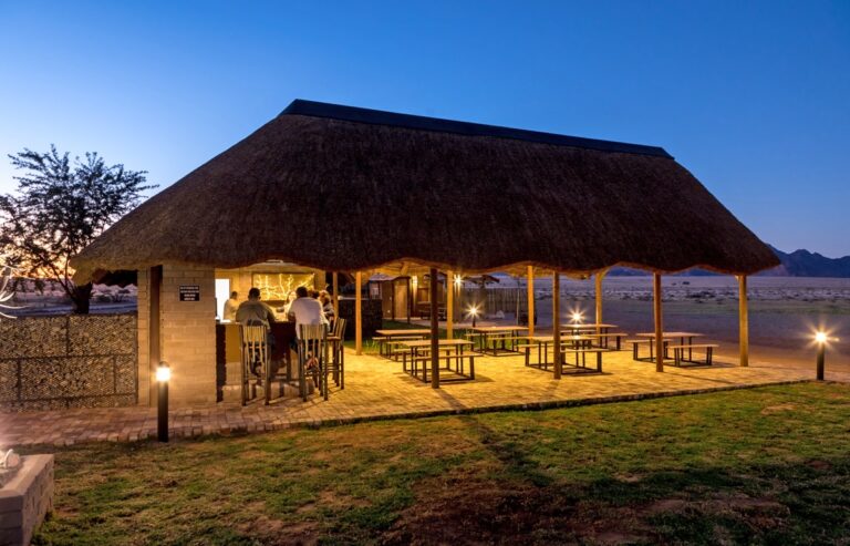 Taleni Desert Camp – serviced bar beneath a high thatched roof