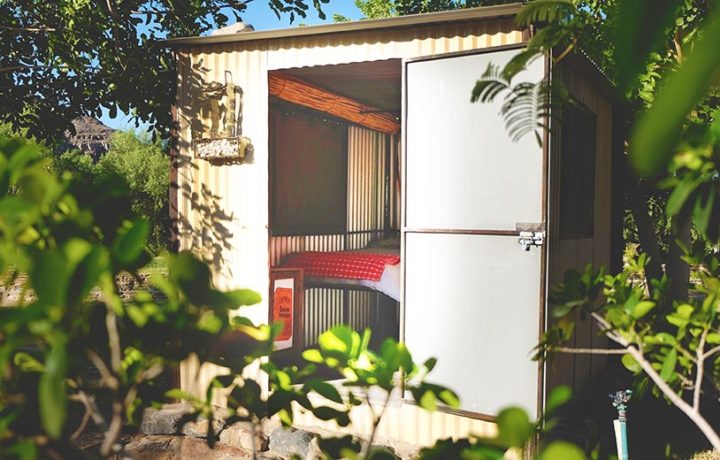The Growcery Orange River Camp – recycled Chic Shack beneath leafy trees