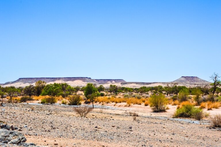 Alte Kalköfen Lodge – wide view of the Gurib riverbed landscape