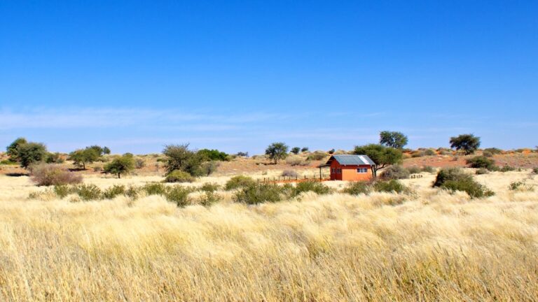 Kalahari Desert accommodation – campsites among Kalahari grass