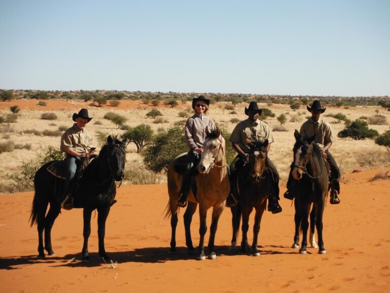 Kalahari lodge near Mariental – guided horse safari on red dunes