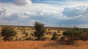Kalahari lodge near Mariental – open savannah after summer rain