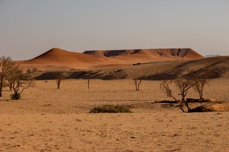 Sossus-on-Foot – red dunes and rocky plateau