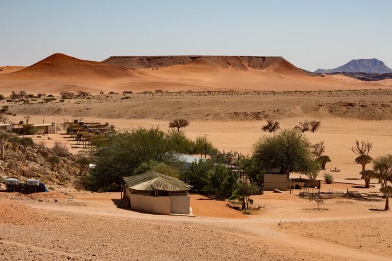 Bushman's Desert Camp – camp among desert hills and trees