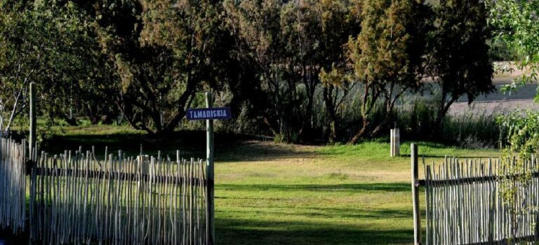 Orange River camp – entrance to the shaded camping garden