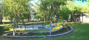 Orange River camp – landscaped garden among the shacks