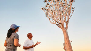 Fish River Lodge – guided walk beside a quiver tree