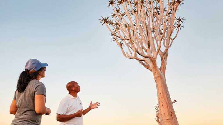 Fish River Lodge – guided walk beside a quiver tree