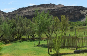 The Growcery Orange River Camp – green campground below Richtersveld cliffs
