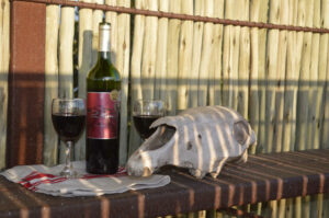 Khaudum National Park accommodation – wine and wildlife-themed table setting