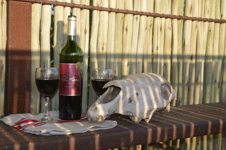 Khaudum National Park accommodation – wine and wildlife-themed table setting
