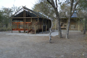 Sikereti Camp – raised tented unit among woodland trees